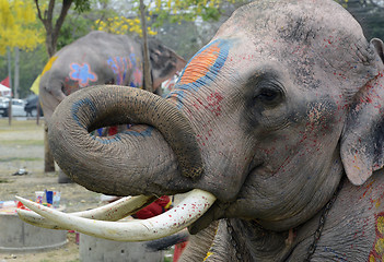 Image showing ASIA THAILAND AYUTTHAYA SONGKRAN FESTIVAL