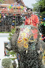 Image showing ASIA THAILAND AYUTTHAYA SONGKRAN FESTIVAL