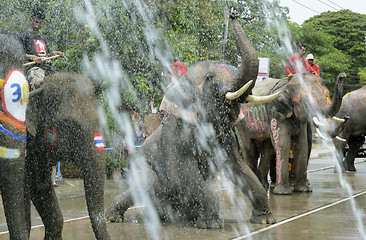 Image showing ASIA THAILAND AYUTTHAYA SONGKRAN FESTIVAL