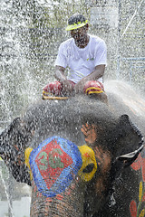 Image showing ASIA THAILAND AYUTTHAYA SONGKRAN FESTIVAL