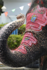 Image showing ASIA THAILAND AYUTTHAYA SONGKRAN FESTIVAL