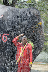 Image showing ASIA THAILAND AYUTTHAYA SONGKRAN FESTIVAL