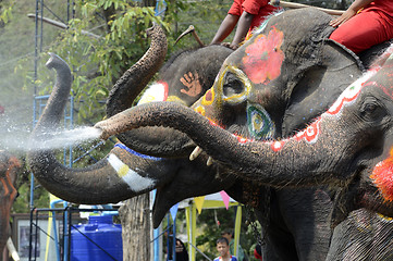 Image showing ASIA THAILAND AYUTTHAYA SONGKRAN FESTIVAL