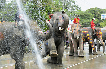 Image showing ASIA THAILAND AYUTTHAYA SONGKRAN FESTIVAL