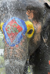 Image showing ASIA THAILAND AYUTTHAYA SONGKRAN FESTIVAL