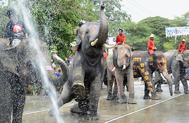 Image showing ASIA THAILAND AYUTTHAYA SONGKRAN FESTIVAL