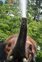 Image showing ASIA THAILAND AYUTTHAYA SONGKRAN FESTIVAL