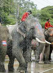 Image showing ASIA THAILAND AYUTTHAYA SONGKRAN FESTIVAL