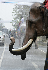 Image showing ASIA THAILAND AYUTTHAYA SONGKRAN FESTIVAL