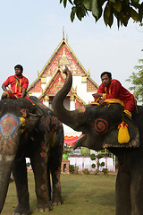 Image showing ASIA THAILAND AYUTTHAYA SONGKRAN FESTIVAL