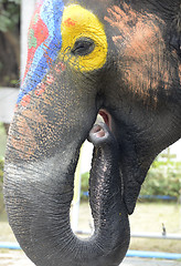 Image showing ASIA THAILAND AYUTTHAYA SONGKRAN FESTIVAL