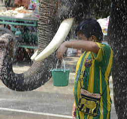 Image showing ASIA THAILAND AYUTTHAYA SONGKRAN FESTIVAL