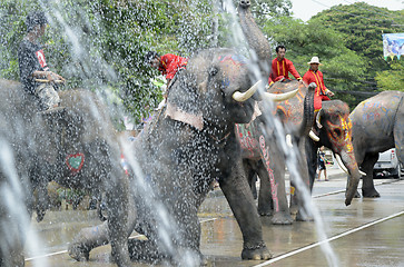 Image showing ASIA THAILAND AYUTTHAYA SONGKRAN FESTIVAL