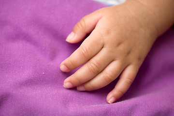 Image showing Tiny hand