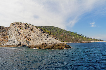 Image showing Green island