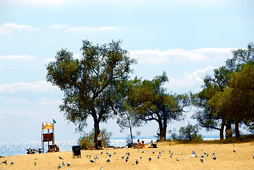 Image showing Beach scene