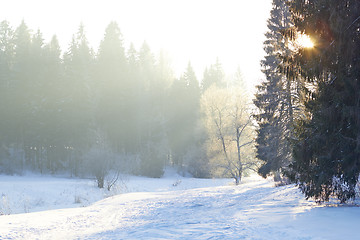 Image showing sunrays over fog on river in winter forest
