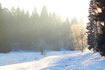 Image showing sunrays over fog on river in winter forest