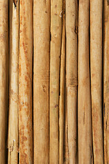 Image showing Cinnamon sticks