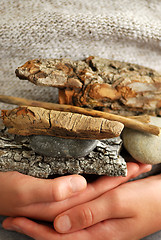 Image showing Beach treasures