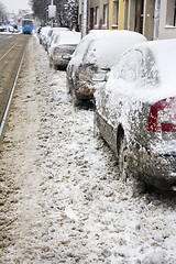 Image showing Parked Cars covered with snow