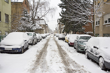 Image showing Parked Cars covered with snow