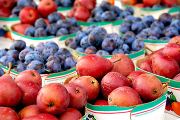 Image showing Fruits for sale