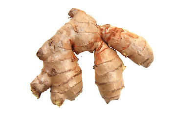 Image showing fresh ginger root isolated 