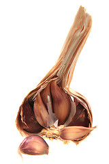 Image showing garlic head 