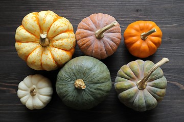 Image showing Squash and pumpkins