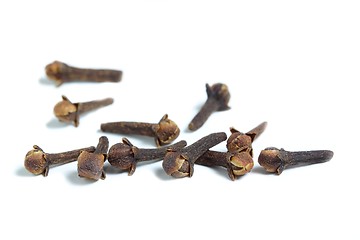 Image showing Cloves