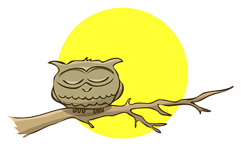 Image showing Sleeping owl sitting on a branch on a background of the full moo