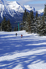 Image showing Skiing in mountains