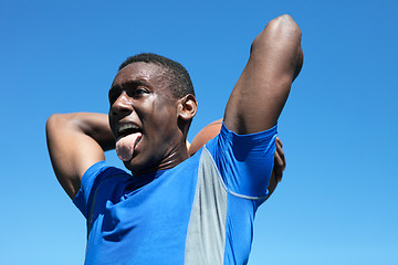 Image showing Basketball Dunker Close Up