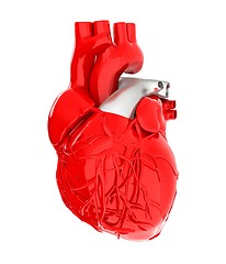 Image showing Human heart