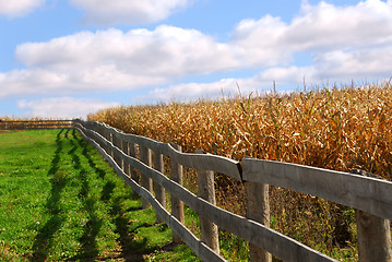 Image showing Rural landscape