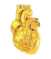 Image showing Human heart