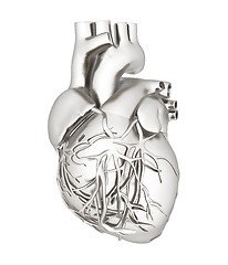 Image showing Human heart