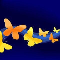 Image showing Butterflies