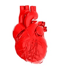 Image showing Human heart