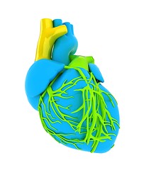 Image showing Human heart