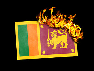 Image showing Flag burning - Sri Lanka