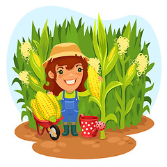 Image showing Harvesting Female Farmer In a Cornfield