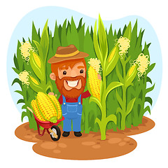 Image showing Harvesting Farmer In a Cornfield