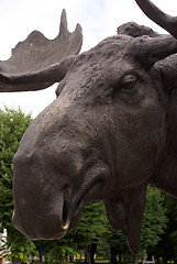 Image showing Bronze Elk