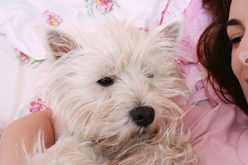 Image showing Dog sleeping on bed 