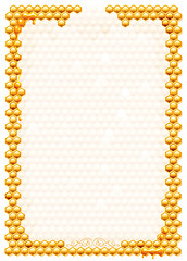 Image showing Frame with bee honeycombs