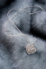 Image showing Chain with heart on fur