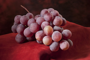 Image showing Branch of red grapes