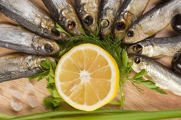 Image showing A composition with clupea herring